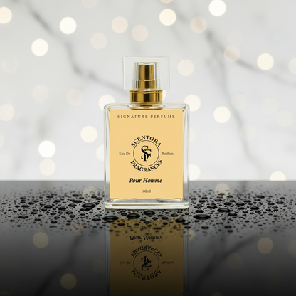 Pour Homme Extrait de Parfum – (Inspired by Vers@ce Pøur Homme) | Men's Citrus Aromatic Perfume | Long Lasting Luxury Fragrance