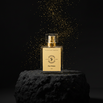Pour Homme Extrait de Parfum – (Inspired by Vers@ce Pøur Homme) | Men's Citrus Aromatic Perfume | Long Lasting Luxury Fragrance